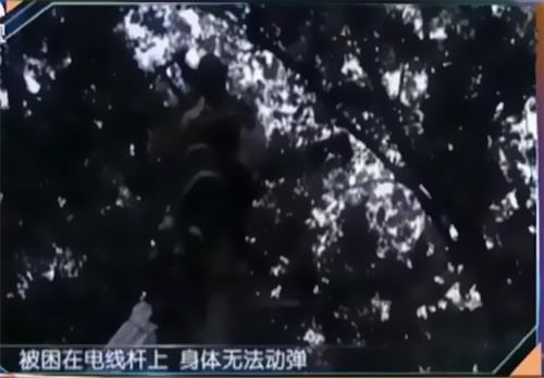 珠江電纜快訊|男子觸電被困，家屬怒斥消防員&ldquo;帶電也得救&rdquo;！